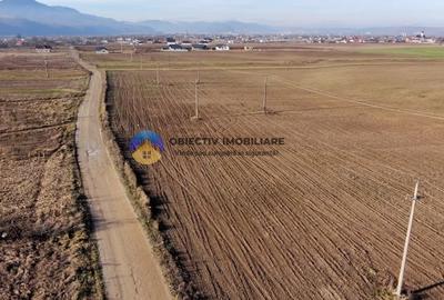 Teren investitie intravilan 3600 mp – Dumbrava Rosie - 3