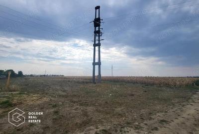 Teren de 3708 mp, în Șagului