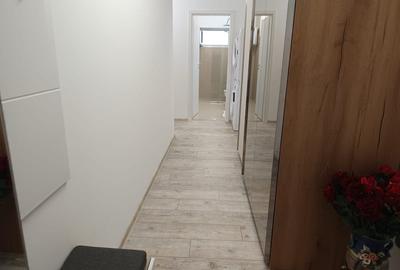 Apartament cu 2 camere, mobilat în Brazda lui Novac - 8