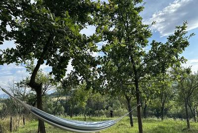 Spațiu comercial, în Ciula Mare - 8