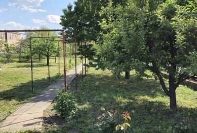 Casă cu 3 camere cu Teren 120 Mp în Central - 6