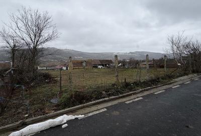 Spațiu comercial, în Păuca - 5