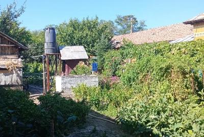 Casă cu 6 camere în Păuleasca - 4