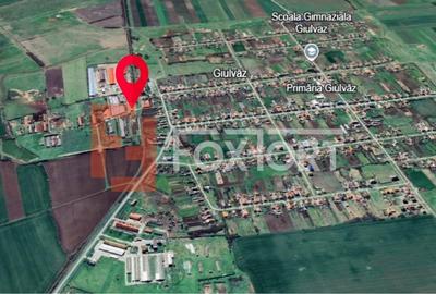 COMISION 0% Spatiu industrial de 695 mp si teren de 1821 mp - Giulvaz - 26