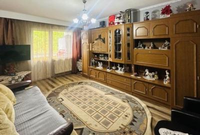 Apartament cu 2 camere decomandat în Beba Veche - 4
