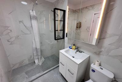 Apartament cu 2 camere decomandat în Dobroești - 4