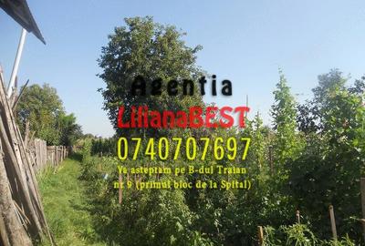 Casă cu Teren 1000 Mp în Central - 3