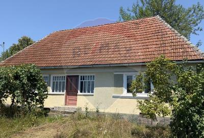 Casa cu teren De Vanzare in Ariesul de Padure - 1