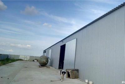 Spațiu comercial, de 3,500 mp, în Pădureni - 1