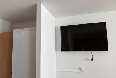 Garsonieră semidecomandată în Dristor - 7