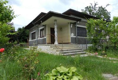 Casă cu 5 camere cu Teren 2300 Mp în Băicoi - 2