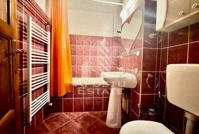 Apartament cu 2 camere decomandat, mobilat în Aurel Vlaicu - 5