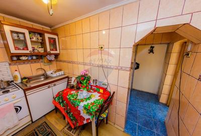 DE VANZARE Oportunitate rara proprietate cu 2 case zona Ulmeni - 13