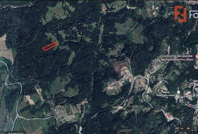 COMISION 0% Teren extravilan inconjurat de padure in Resita - ID V5495 COMISION 0% Teren extravilan inconjurat de padure in Resita - ID V5495 - 3