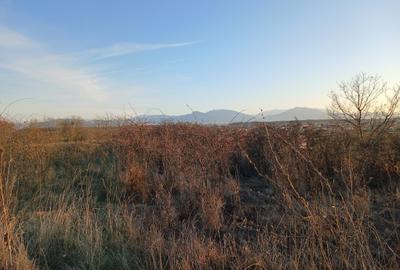 Teren Construcții intravilan de 12300 mp, în Podu Oltului - 2