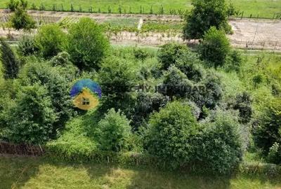 Teren intravilan com. Alexandru cel Bun- Viisoara - 2