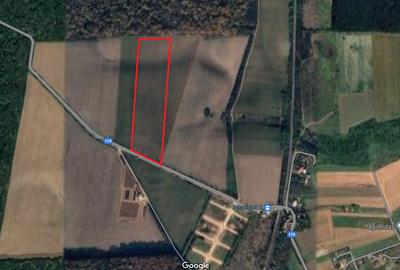 Teren Construcții intravilan de 35000 mp, în Bălteni - 2