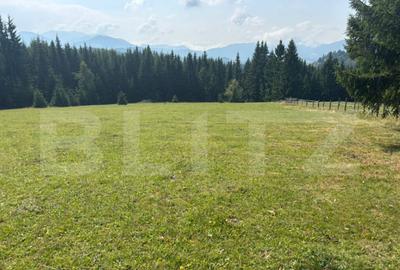 Vanzare teren intravilan de 2 hectare, in Pasul Tihu?a - 1