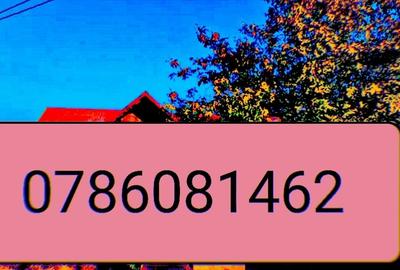 Casă cu 3 camere cu Teren 1000 Mp în Central - 7