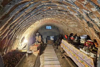 Casă / Vilă cu 3 camere de vânzare-Cacica-Suceava - 32