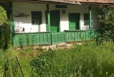 Casă cu 2 camere în Berislăvești - 3