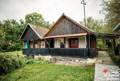 Casă cu 2 camere în Mureșenii de Câmpie - 4