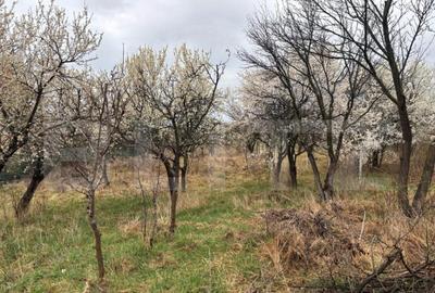 Teren intravilan de vanzare, 1.200mp, zona Porolisum - 8