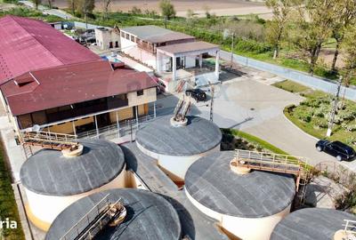 Spațiu comercial, de 2,800 mp, în Tecucelu Sec - 6