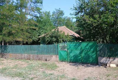 Casă cu Teren 1700 Mp în Dănești
