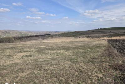 Teren de 11500 mp, în Mihai Viteazu - 6