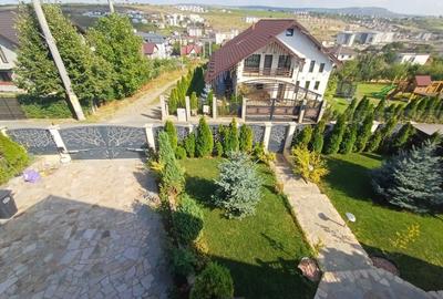 VILĂ CU 5 CAMERE - 150 MP UTILI - BECI, GARAJ, 717 MP TEREN, VIȘAN-BUCIUM - 36