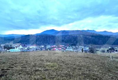 Teren de 2500 mp, în Colibița - 15