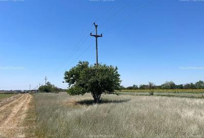 Terenuri Baldana / spre Targoviste - 4
