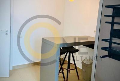 Apartament cu 3 camere decomandat, mobilat în Primăverii - 16