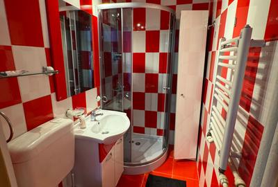 Apartament cu 2 camere decomandat, mobilat în Cișmigiu - 12