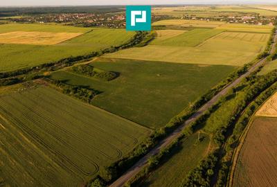 Teren agricol extravilan de 42200 mp, în Secusigiu - 5