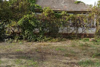 Vand casa batraneasca - 1