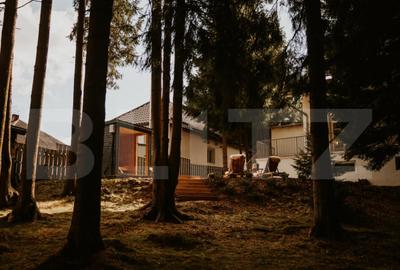 Spațiu comercial, de 300 mp, în Mănăștur - 5