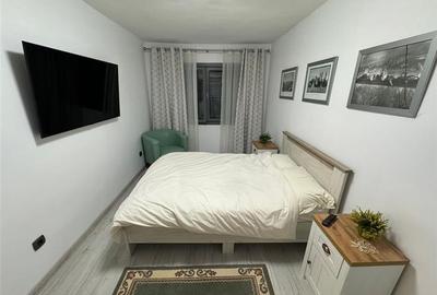 Garsoniera renovata, parter si mobilata, strada A.Vlahuta - 4