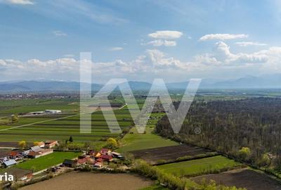 Spațiu comercial, în Lunca Calnicului - 13