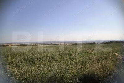 Teren 30.350 mp (600 mp intravilan) ideal investi?ie, Carcea Metro - 4