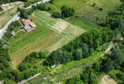 Teren de 10176 mp, în Mihăești - 1