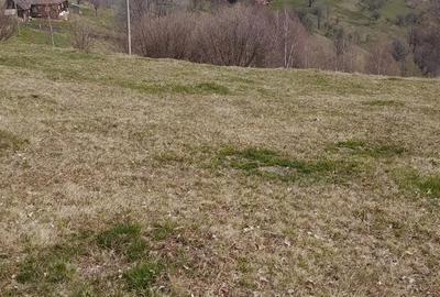 Teren de 2000 mp, în Dobra - 2