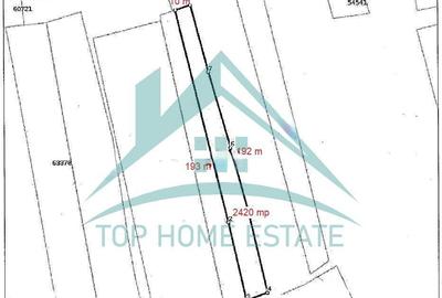 Teren de 2900 mp, în Baciu