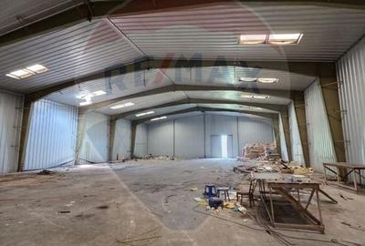 Teren Construcții intravilan de 13210 mp, în Ștefăneștii de Jos - 7