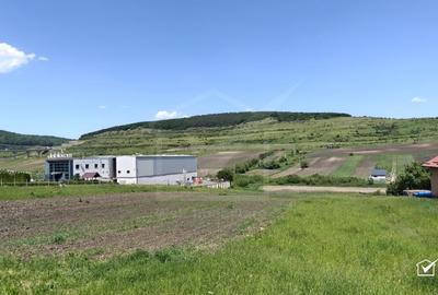 Teren Construcții intravilan de 2900 mp, în Vâlcele - 3