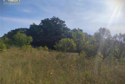 Teren extravilan zona - 10