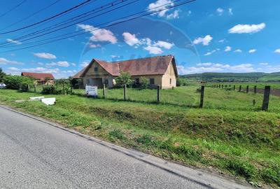 Teren Construcții intravilan de 3436 mp, în Hoghilag - 1