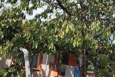 Casă cu 3 camere cu Teren 600 Mp în Lazu - 6