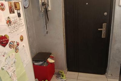 Apartament cu 2 camere semidecomandat în Podu Roș - 6